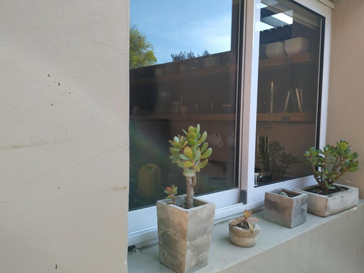 Verde Lillo Necochea Zewnętrze zdjęcie